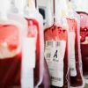 BLOOD