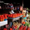 World food