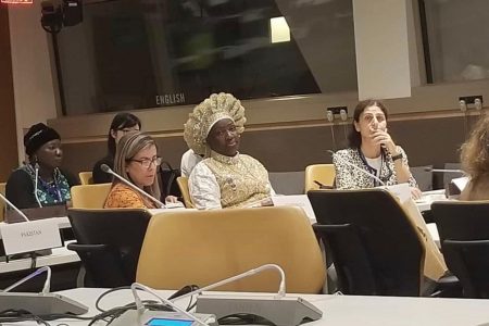 Esther Ajayi at UN, condemns xenophobic attacks