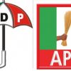 PDP
