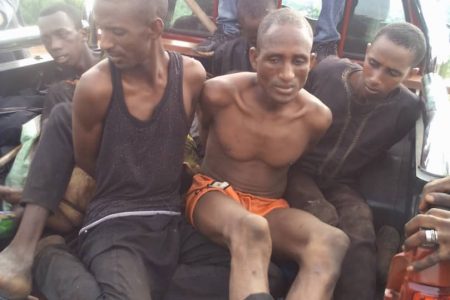 Amotekun Corps, OPC, vigilance group arrest 6 bandits in Oyo forest with 183 cattle, weapons, cash